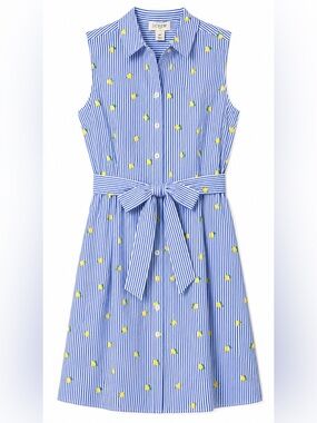 J Crew Cotton Blend Blue Striped Lemon Print Shirt Dress with Tie Waist- 8P